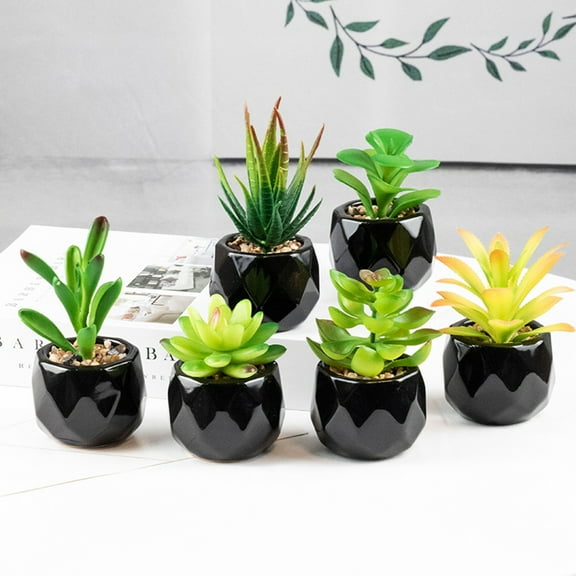 Shenmeida Mini Artificial Succulent Plants, Succulent Plants with Black Ceramic Pots Realistic Faux Succulent Plants Suitable for Office, Home, Bathroom, Kitchen, Windowsill, Desk Decoration