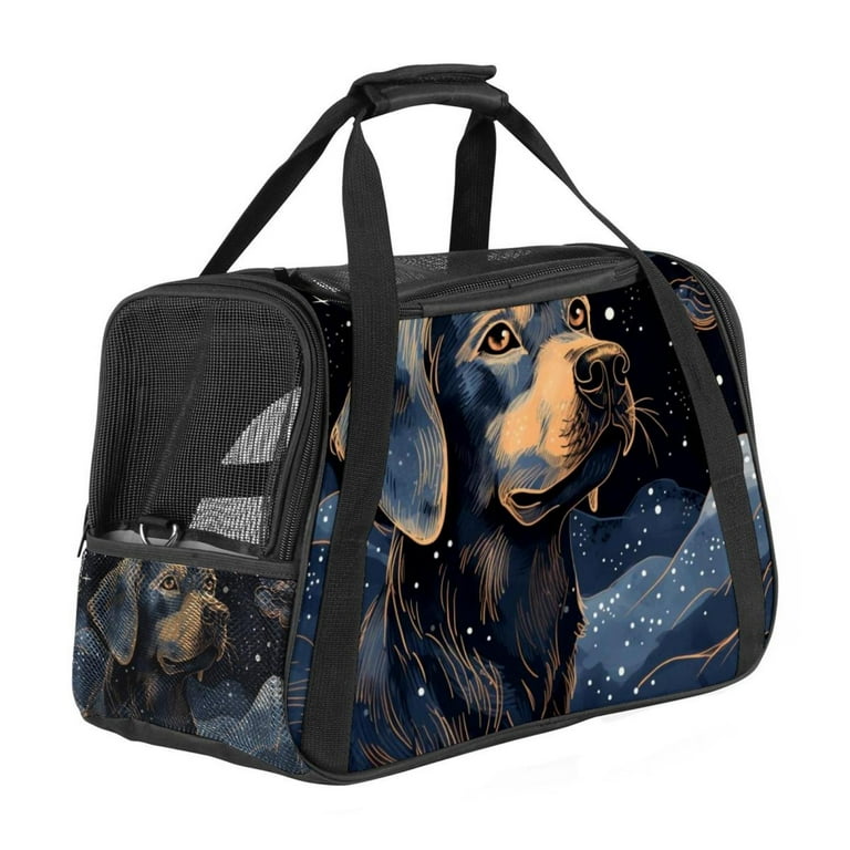 Dachshund airline carrier 2025