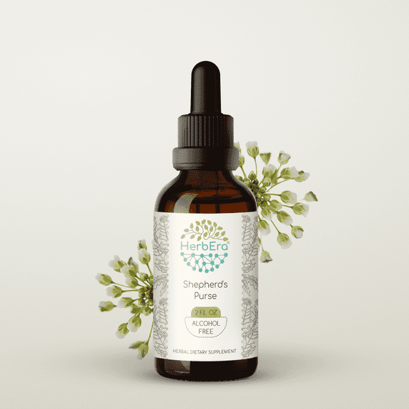 HerbEra Shepherd's Purse Tincture, Herbal Dietary Supplement for Urinary Tract Support, Shepherd's Purse (Capsella bursa-pastoris) Dried Herb Extract, Natural, Alcohol-Free, Drops 2 oz