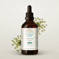 thumbnail image 1 of HerbEra Shepherd's Purse Tincture, Herbal Dietary Supplement for Urinary Tract Support, Shepherd's Purse (Capsella bursa-pastoris) Dried Herb Extract, Natural, Alcohol Tincture, Drops 4 oz, 1 of 7