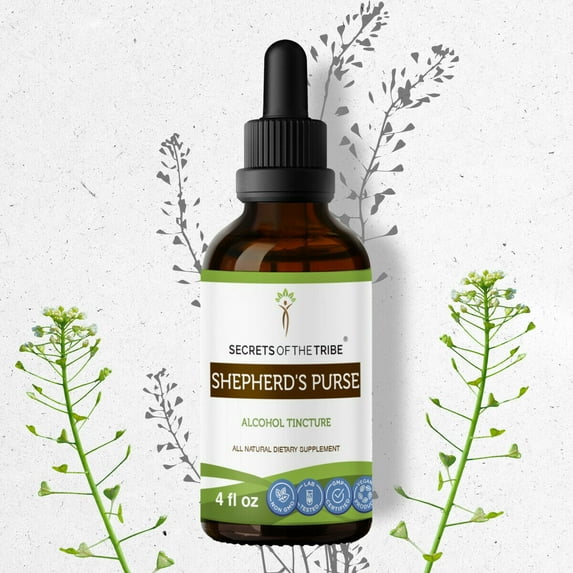 Shepherd's Purse Tincture Alcohol Extract, Organic Capsella Bursa-Pastoris Healthy Cardiovascular System 4 oz