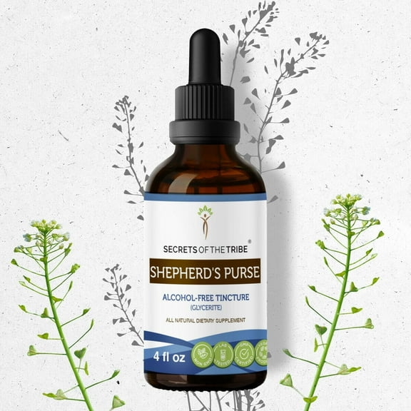 Secrets Of The Tribe Shepherd's Purse Tincture Dietary Supplement, Natural Herbal Extract for Urinary Support, Shepherd's Purse (Capsella bursa-pastoris) Dried Herb, Alcohol-Free Extract, Drops 4 oz