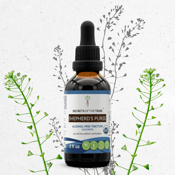 Secrets Of The Tribe Shepherd's Purse Organic Dietary Supplement, Natural Herbal Tincture for Urinary Support, Certified Organic Shepherd's Purse (Capsella bursa-pastoris)Dried Herb Alcohol-Free 2 oz