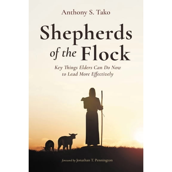 Shepherds of the Flock: Key Things Elders Can Do Now to Lead More Effectively, (Paperback)