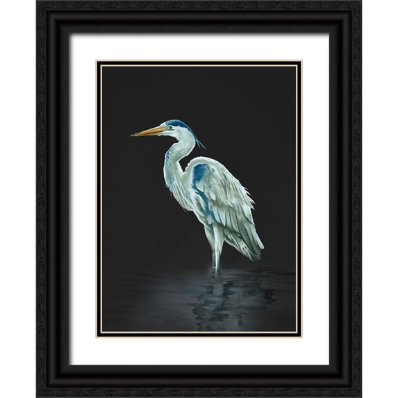 Sheppard, Lucca 11x14 Black Ornate Wood Framed with Double Matting Museum Art Print Titled - Garza Azul On Black