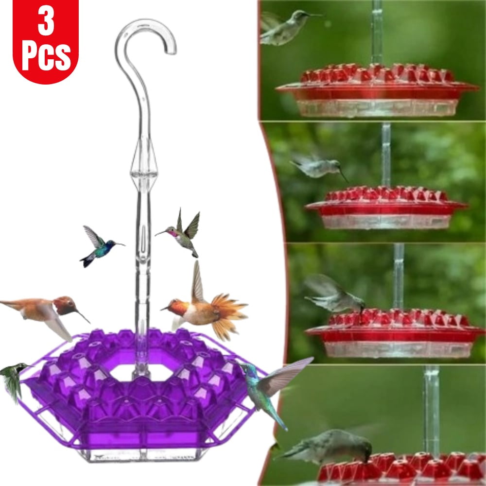Sherem Sweety Hummingbird Water Feeder Shirem Hummingbird Feeding