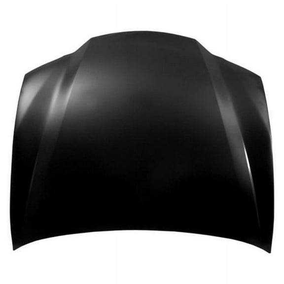 Sherman Parts Hood Panel Assembly for 2013-2020 Lexus GS