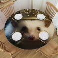 thumbnail image 1 of Sheronv Hedgehog Crown Round Tablecloth 100% Polyester Waterproof Resistant, Ideal for Indoor and Outdoor Use, Various Sizes, Gift for Family and Friends 31"-35, 1 of 8
