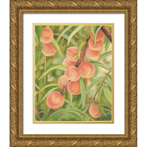 Sherrill, Kate 12x14 Gold Ornate Wood Framed with Double Matting Museum Art Print Titled - Peach Perfect