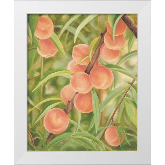 Sherrill, Kate 20x24 White Modern Wood Framed Museum Art Print Titled - Peach Perfect
