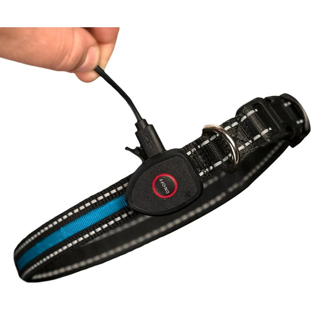 Sherry Kline LED Light-Up Pet Collar - USB Rechargeable - Flashing Glow in the Dark Size Small, Color: Blue