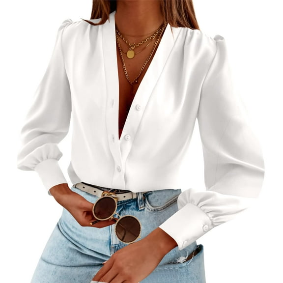 Sherrylily Womens Business Casual Summer Long Sleeve Silk Button Down V Neck Chiffon Blouse