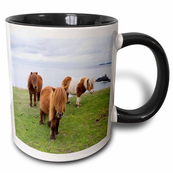 3drose, Shetland Pony on Pasture Near High Cliffs, Shetland Islands, Scotland., 15oz Two-tone Black Mug