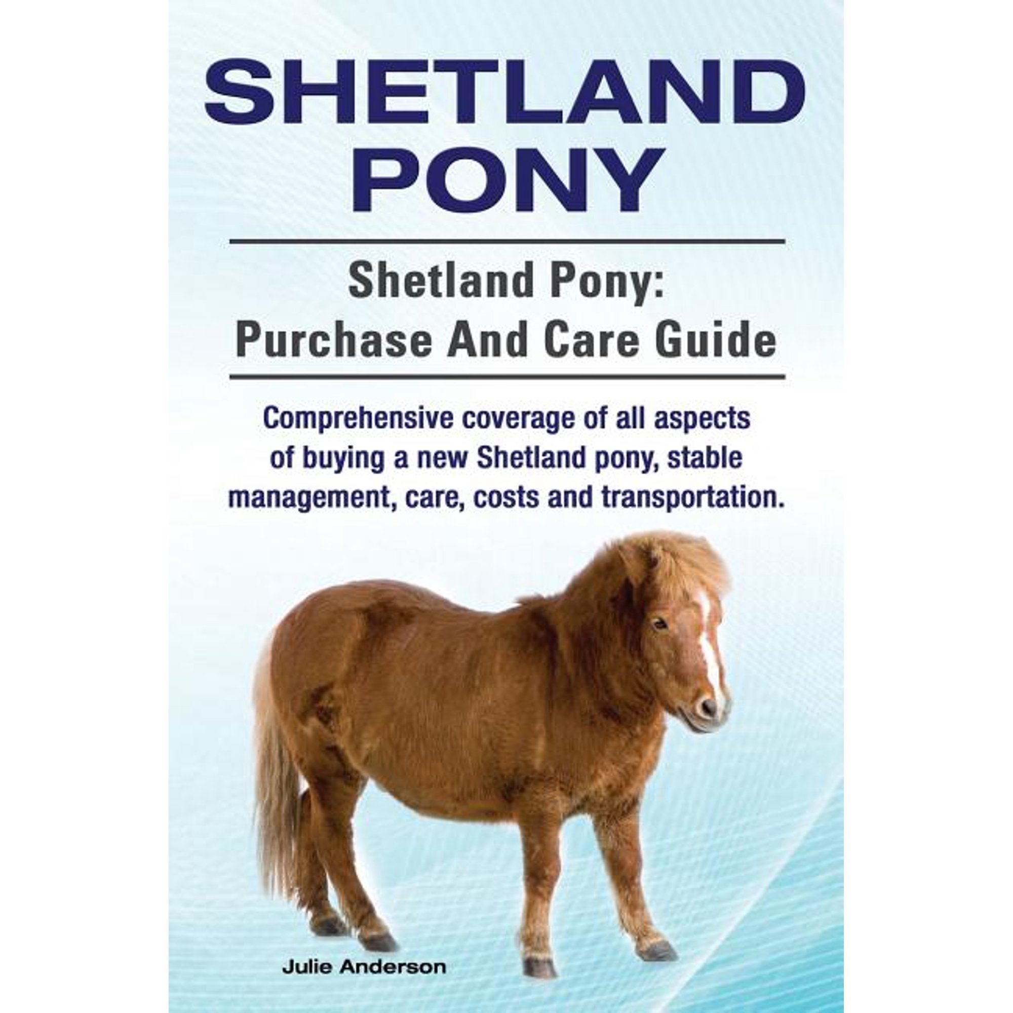 Guide Pony