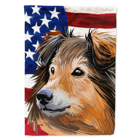 Carolines Treasures CK6703CHF Shetland Sheepdog Dog Canvas House Size Outdoor-Flags, Multicolor
