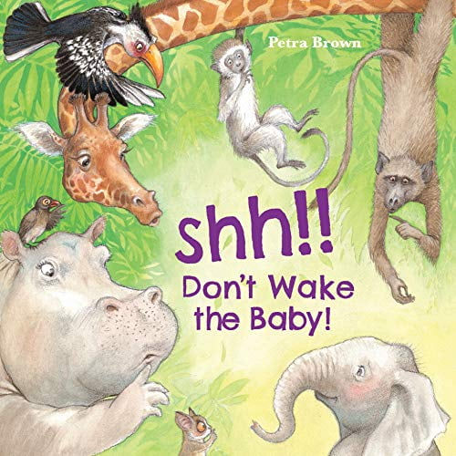 Pre-Owned Shh! Don't Wake the Baby! (Board Book)