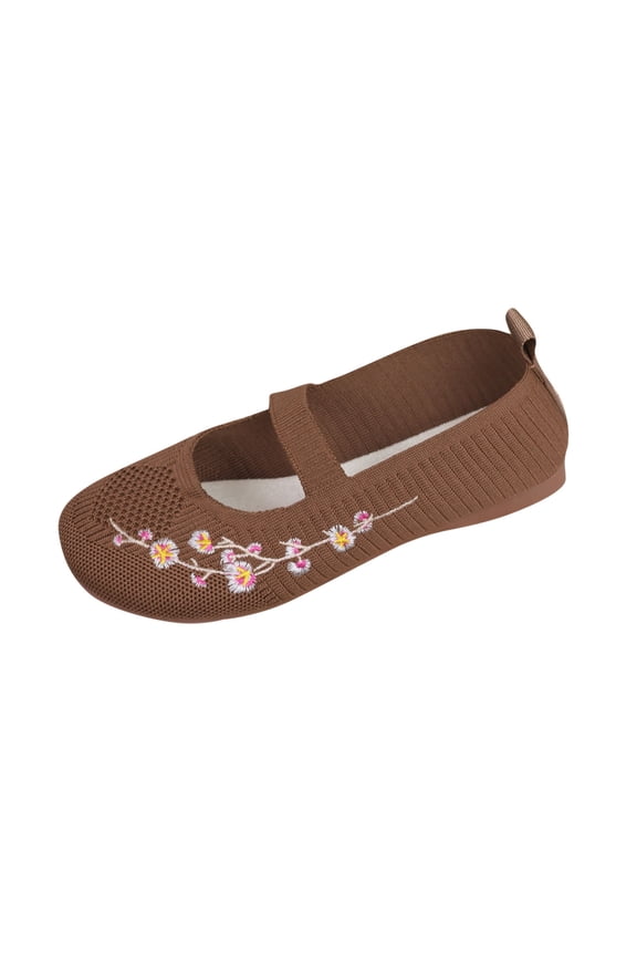 Women's Embroidered Mesh Ballet Flats Comfortable Casual Mary Jane Shoes for Walking Daily Outfits