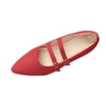 thumbnail image 1 of ShiShine Women's Pointed Toe Mary Jane Flats with Double Strap Buckle Casual Everyday Dressy Office Flats, 1 of 8