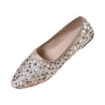 thumbnail image 1 of ShiShine Womens Glitter Pointed Toe Ballet Flats Slip On Comfort Dress Flats for Wedding Work Dance Casual Wear, 1 of 9