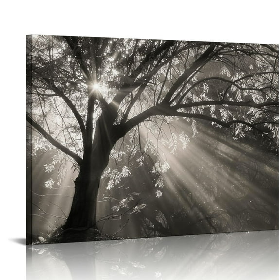 Shiartex  Big Tree Sunshine Wall Art Canvas Nature Forest Landscape Picture Painting Vintage Sepia Photo Prints Artwork for Home Living Room Bedroom Office Decor 20x16 in/16x12 in