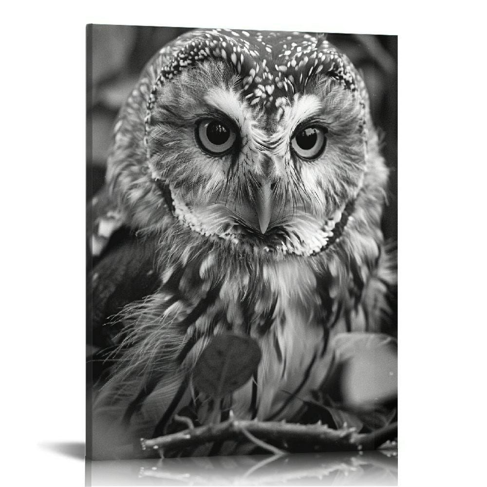 Shiartex Black and White Owl Canvas Wall Art Bird Decor Forest Wise Man ...