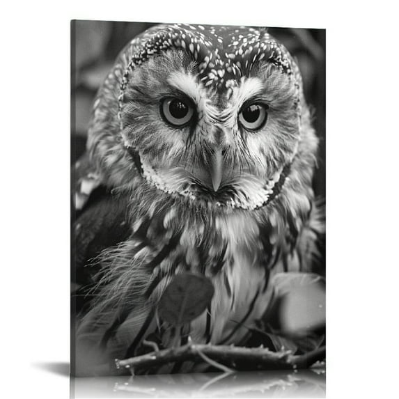 Shiartex Black and White Owl Canvas Wall Art Bird Decor Forest Wise Man Pictures on Canvas Wall Art for Home Office Decorations Living Room Bedroom and Kitchen Decor Framed Canvas Prints