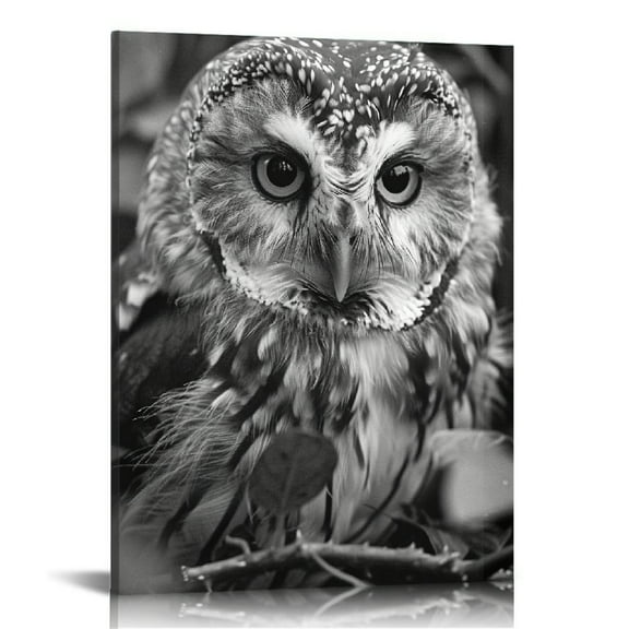 Shiartex Black and White Owl Canvas Wall Art Bird Decor Forest Wise Man Pictures on Canvas Wall Art for Home Office Decorations Living Room Bedroom and Kitchen Decor Framed Canvas Prints