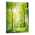 thumbnail image 1 of Shiartex Canvas Wall Art Picture 16x20in for Living Room Bedroom Thick Forest Print On Canvas 16x20in, 1 of 3
