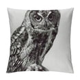 thumbnail image 1 of Shiartex  Decorative Throw Pillow Case Cushion Covers for Sofa, Elegant Eagle Hawk Owl Series Square Throw Pillowcase, 1 of 5