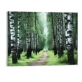 thumbnail image 1 of Shiartex Fall Decor Birch Canvas Wall Art Picture 20x16in for Living Room Bedroom 20x16in, 1 of 3