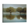 thumbnail image 1 of Shiartex Framed Wall Art Ready to Hang White swan on a pond White swans are swimming on the lake Canvas Print Artwork Wall Art Painting Pictures Home Office Wall Décor Modern Poster 20x16Inch, 1 of 3