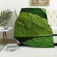 thumbnail image 1 of Shiartex  Green Leaf Blanket Flannel Plant Throw Blankets Plush Giant Leaf Blanket Leaves Design for Bed Couch and Sofa Leaf Blanket Leaf Design Accent for Plant Lovers White, 1 of 6