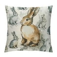 thumbnail image 1 of Shiartex  Happy Easter Throw Pillow Covers,  Bunny Pillowcases Egg Letter and Rabbits Pillows Spring Farmhouse Decorative Cushion Covers, Beige，Multi-Size, 1 of 5
