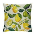 thumbnail image 1 of Shiartex  Lemon Pillow Covers Summer Farmhouse Throw Pillow Case Watercolor Cushion Cover Yellow Home Sweet Home Love Decorative Pillow Case Lemon Cover for Home Office Sofa,Multi-Size, 1 of 5