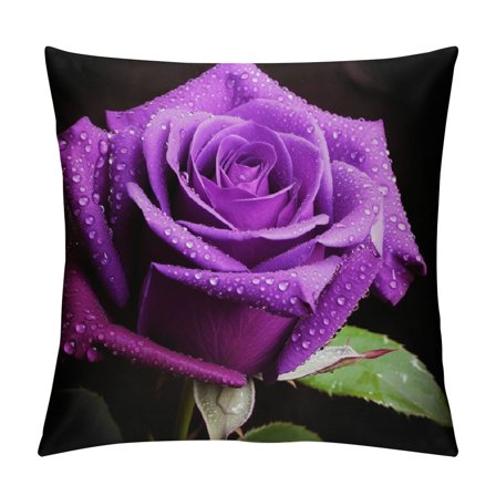 Shiartex  Purple Rose Pillow Cover Romantic Flower Print Square Throw Pillow Cover for Teens Adult Bedroom Decor Valentine's Day Gift for Her Decorative Cushion Cover,Single Pack