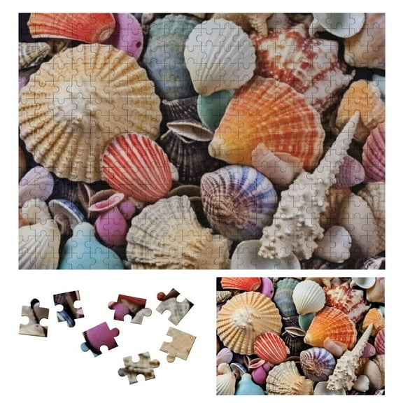 Shiartex Shell Collection Adult Puzzle Birthday Gift for Family and Friends 300 PCS