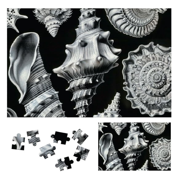 Shiartex Shells Puzzle | Impossible Jigsaw Puzzles for Adults | Puzzle with Cool | Hardest Jigsaw Puzzles for Adults 1000 PCS