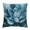 thumbnail image 1 of Shiartex Succulent Throw Pillow Cushion Cover Plant Cactus Flower Agave Aloe Leaf with Stay Wild Words Pillow Covers Super Soft Tropical Summer Home Decor Pillowcases 22x22in, 1 of 5