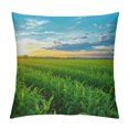Shiartex Sunset Grass Field Fashion Style DirtResistant Throw Pillow