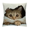thumbnail image 1 of Shiartex  Super Soft Short Plush Square Decorative Throw Pillow Case Sofa Waist Cushion Cover Multi-Size, 1 of 5