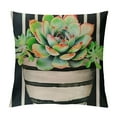 thumbnail image 1 of Shiartex  Tropical Plants Throw Pillow Covers Succulent/Cactus with Black Striped Farmhouse Home Decorative Square Cushion Cover 24x24in, 1 of 5