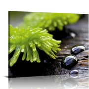 Shiartex Zen Bathroom Decor Meditation Canvas Wall Art, Water Stone and Green Plants Pictures for Yoga Spa and Office Calming, Relaxing Wall Art for Office Bedroom Living Room (20x16 in/16x12 in)