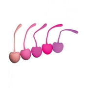 Shibari Pleasure Cherry Kegel Balls Multi-Weighted/5 pack SHIBCHERRY