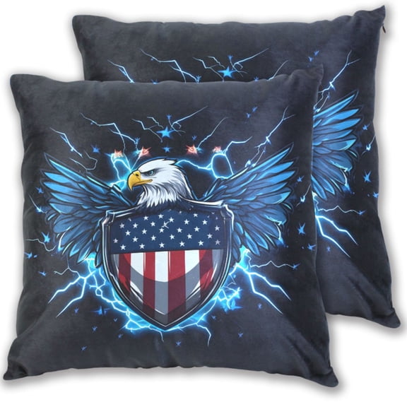 Shield with Flag Pattern Hawk Wings Throw Pillow Covers Pillowcases 16 x 16 Inch Home Decor 2 Packs for Bedroom Sofa