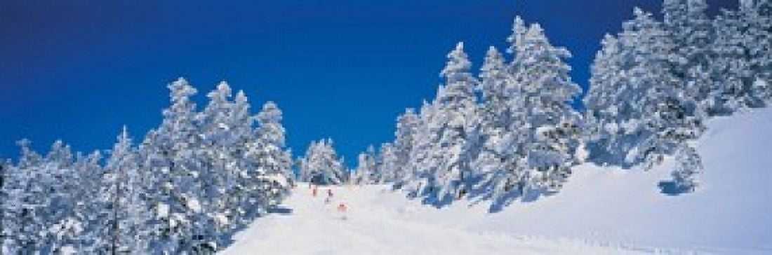 Shiga Kogen Nagano Japan Canvas Art - Panoramic Images (18 x 6)