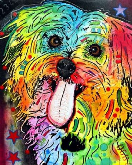 Shih Tzu Canvas Art - Dean Russo (22 x 28)