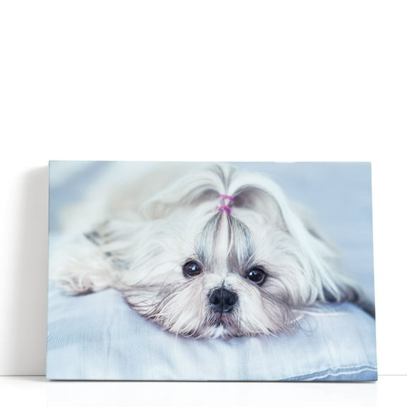 Shih Tzu Dog Lying on Bed - Wrapped Canvas Print Wall Art | 18" W x 12" H