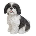 thumbnail image 1 of Shih Tzu Lifelike Sitting Statue Realistic Glass Eyes Figurine, 1 of 1
