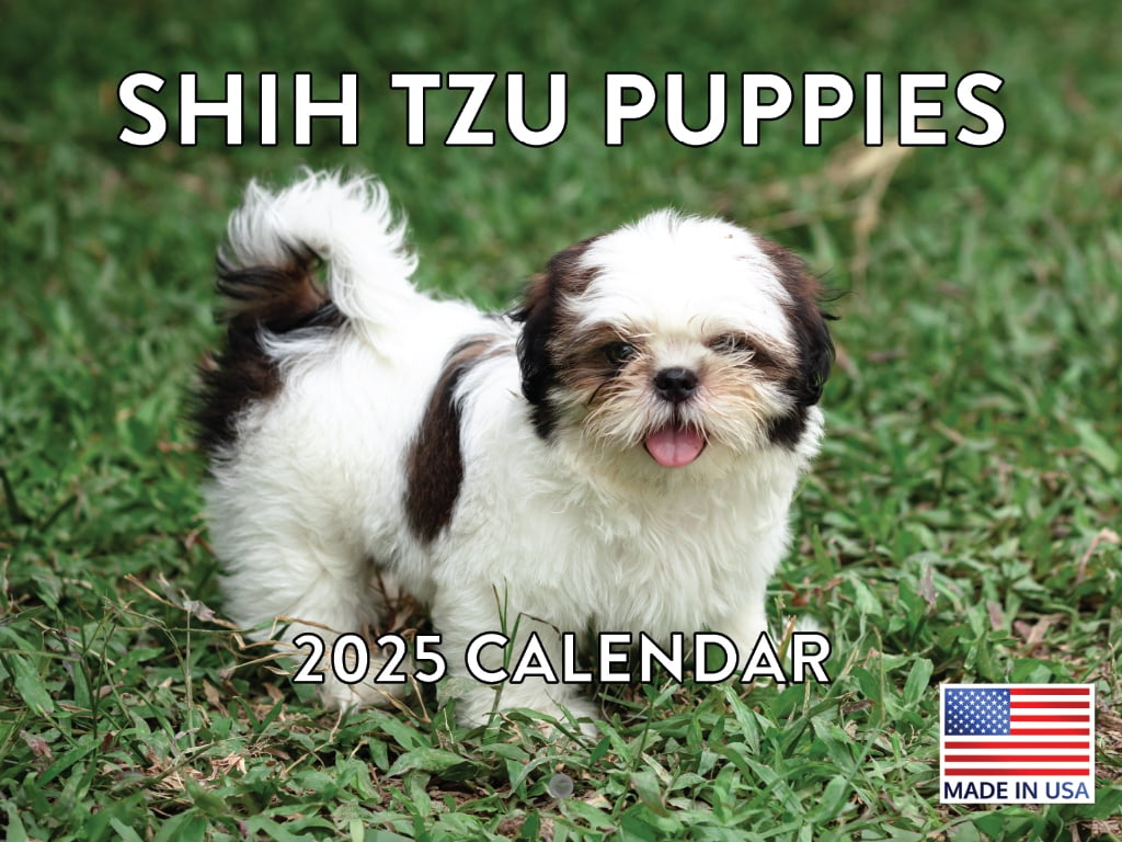 Shih Tzu Puppy Calendar 2025 Monthly Wall Calender 12 Month Made In