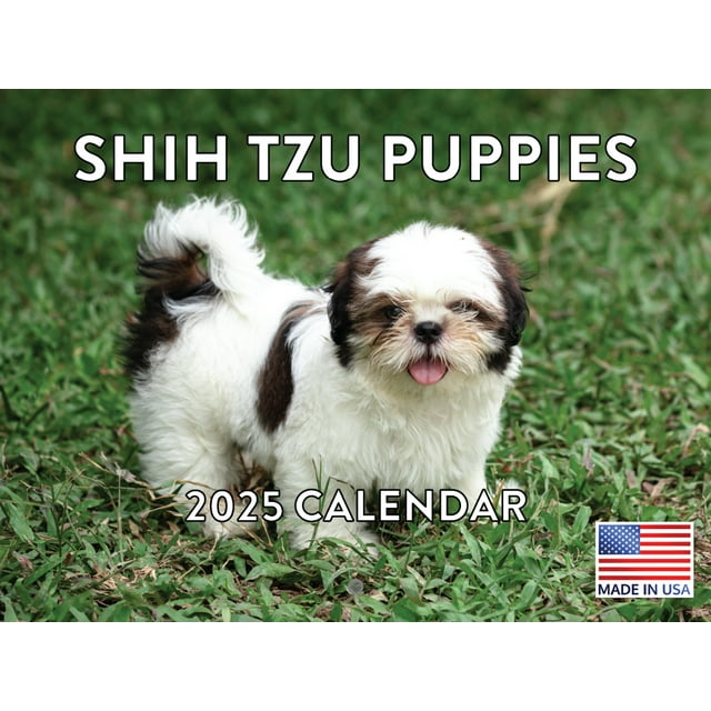 Shih Tzu Puppy Calendar 2025 Shitzu Monthly Wall Calender 12 Month